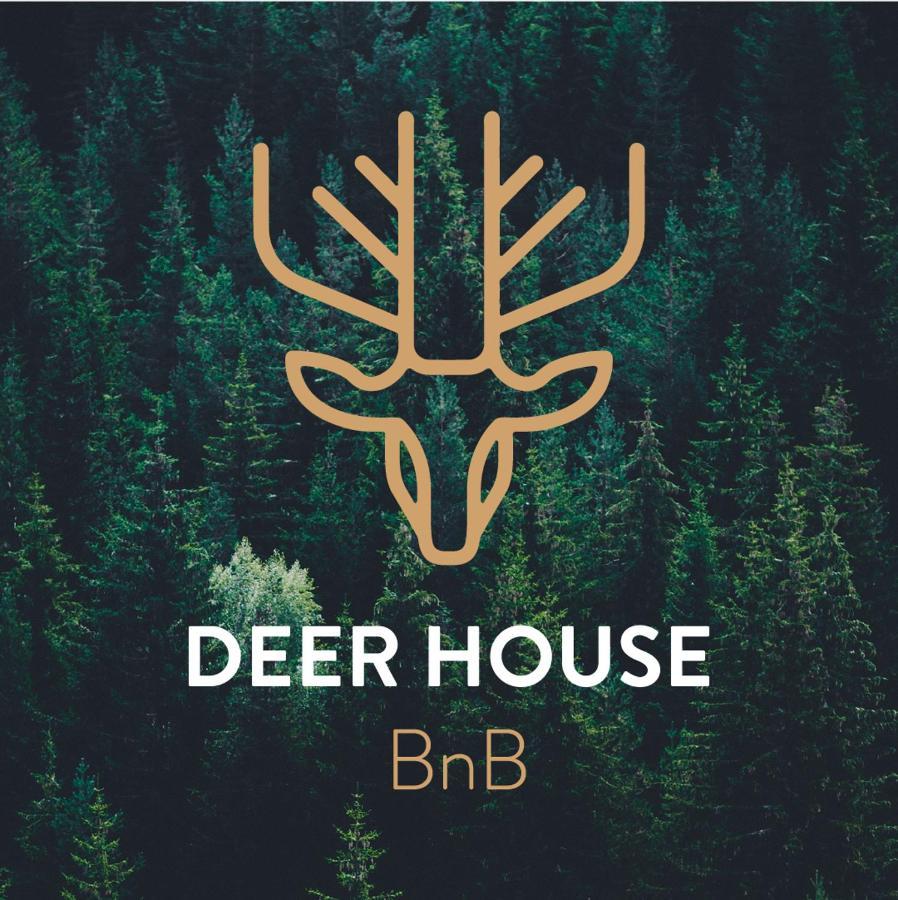 קופיטו Deer House Bnb מראה חיצוני תמונה